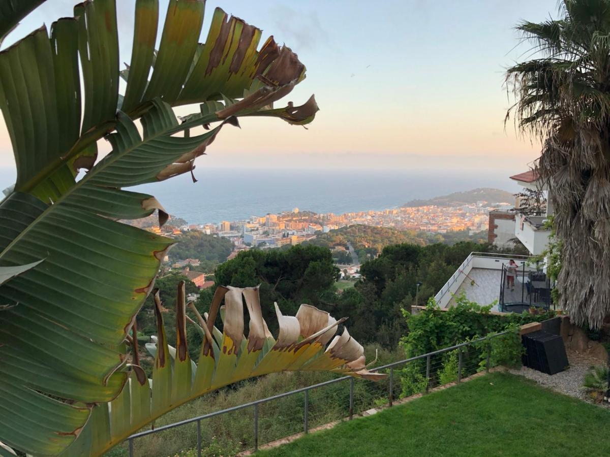 Villa Oasis Costa Brava Льорет-де-Мар Екстер'єр фото